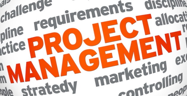 Project Management may be a life survivor!